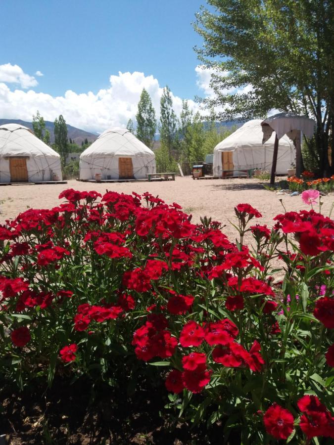 מלון Yurt Camp Tosor מראה חיצוני תמונה