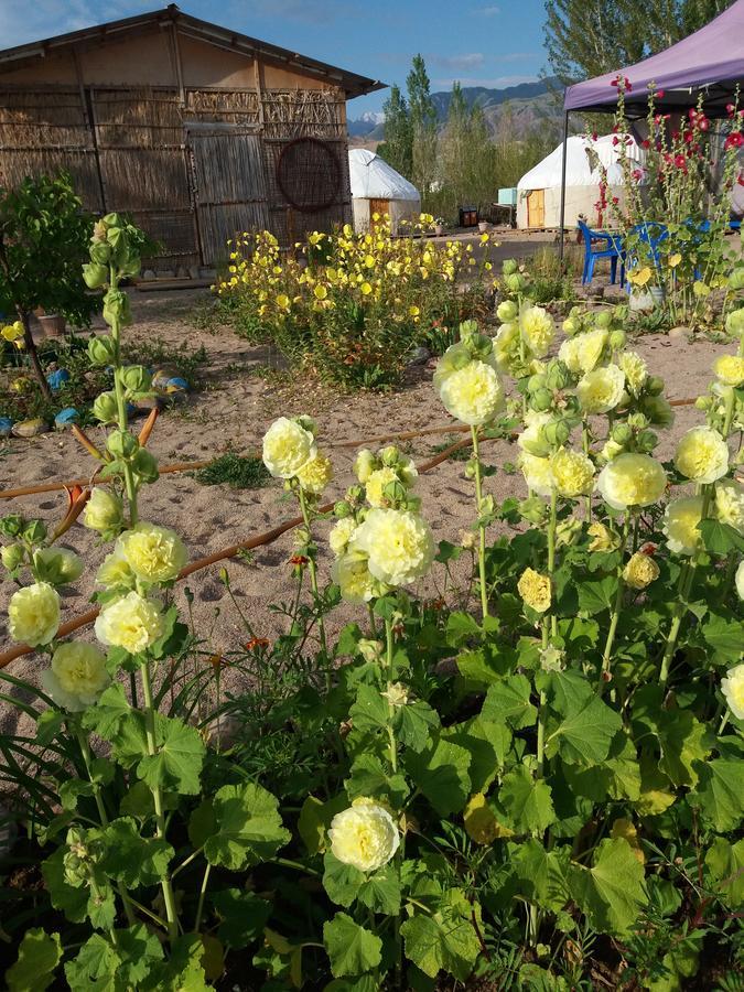 מלון Yurt Camp Tosor מראה חיצוני תמונה