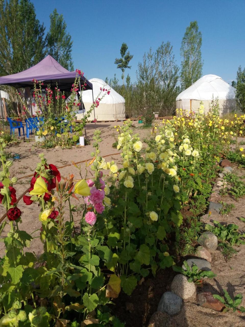 מלון Yurt Camp Tosor מראה חיצוני תמונה